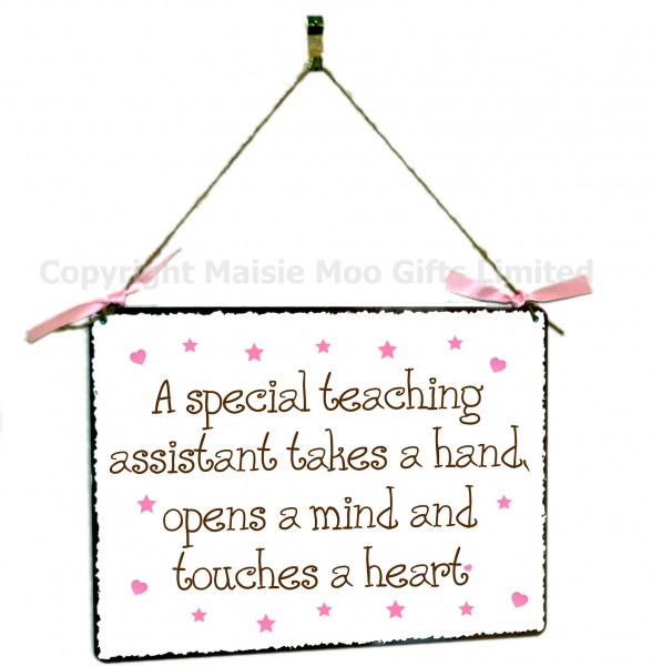 Special Teaching Assistant Hanging Vintage Style Design Plaque